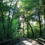 Living a life according to nature