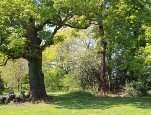 Information Overload | The Reason you feel Lost