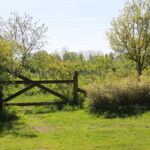 Digital Minimalism Mart Bergsma